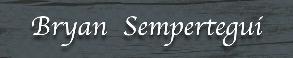 Bryan Sempertegui Banner